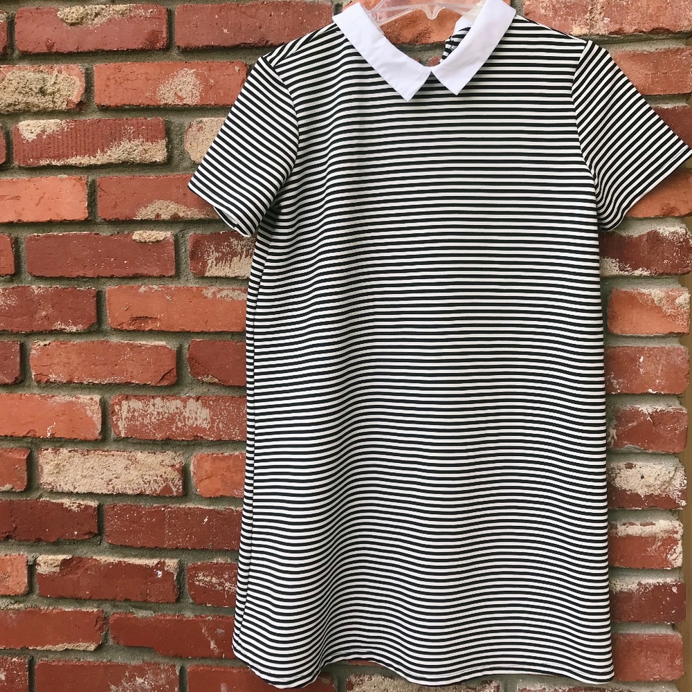 Zara Stripped Collared Shirt Dress
